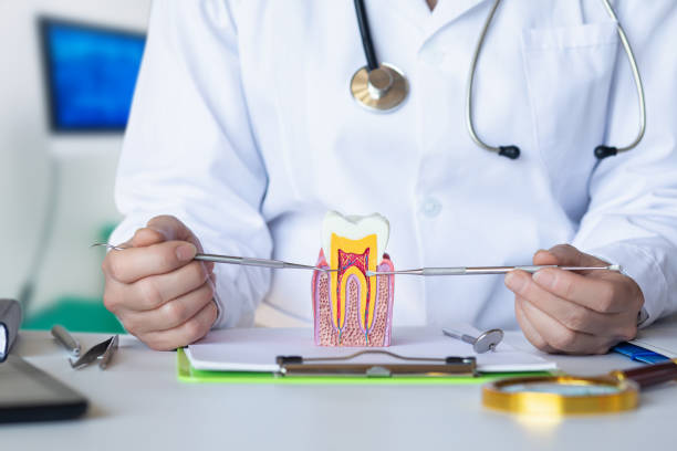 Best Weekend Emergency Dentist in Tomball, TX